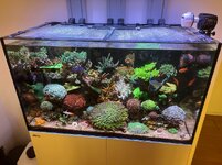 IMG_6342.jpg