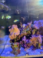 IMG_7662.jpeg