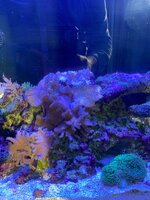 IMG_7663.jpeg
