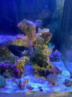IMG_7664.jpeg