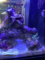 IMG_7665.jpeg