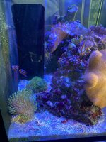 IMG_7666.jpeg