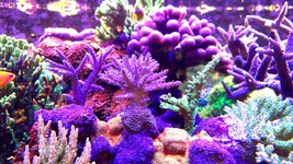 20260312_134408.jpg 20260312_134408.jpg