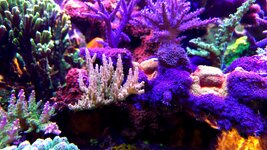 20260312_134411.jpg 20260312_134411.jpg