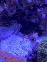 IMG_8260.jpeg