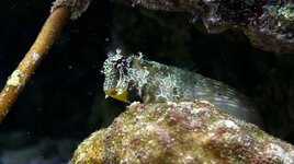 IMG_0046.jpeg