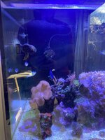 IMG_7752.jpeg