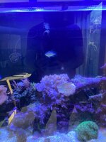 IMG_7753.jpeg