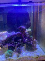 IMG_7754.jpeg