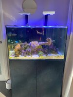 IMG_7750.jpeg