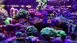 20260312_134331.jpg 20260312_134331.jpg