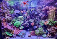 IMG_3040.jpeg