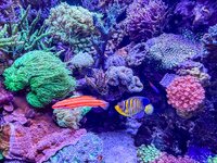 IMG_3042.jpeg