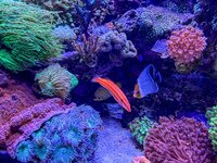 IMG_3043.jpeg