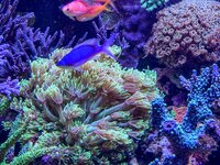 IMG_3045.jpeg
