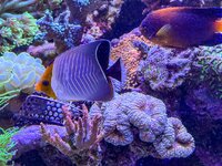 IMG_3046.jpeg