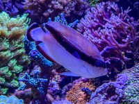 IMG_3047.jpeg