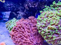 IMG_3048.jpeg