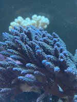 IMG_8581.jpeg