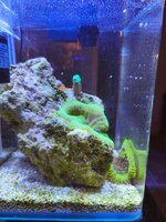 IMG_20260309_204017.jpg