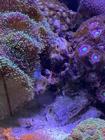 IMG_8270.jpeg IMG_8270.jpeg