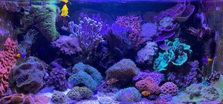 IMG_8266.jpeg IMG_8266.jpeg