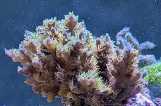 PXL_20260421_103016391~2.jpg
