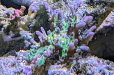 PXL_20260421_103100903~2.jpg