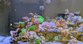 PXL_20260421_164453766.MP~2.jpg