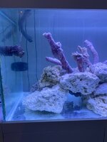 IMG_7850.jpeg
