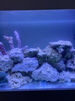 IMG_7851.jpeg