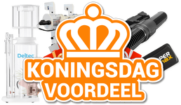 Koningsdag.png_April-25-2022-957am.png