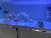 IMG_7880.jpeg