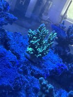 IMG_7206.jpeg IMG_7206.jpeg