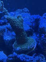 IMG_7209.jpeg