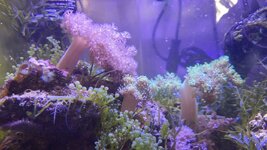 nano2.jpg