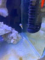 IMG_7915.jpeg