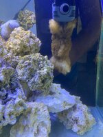 IMG_7916.jpeg