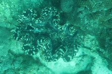 IMG_3237.jpeg
