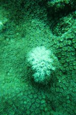 IMG_3233.jpeg