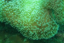 IMG_3201.jpeg