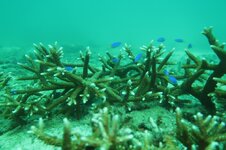 IMG_3195.jpeg