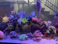 IMG_3788.jpeg