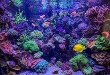 IMG_3795.jpeg