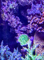 IMG_3799.jpeg