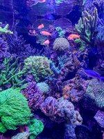 IMG_3800.jpeg