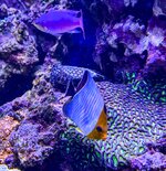 IMG_3803.jpeg