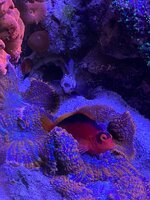 IMG_8374.jpeg