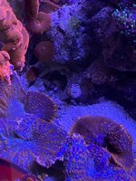 IMG_8384.jpeg IMG_8384.jpeg