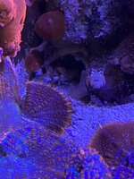 IMG_8386.jpeg IMG_8386.jpeg